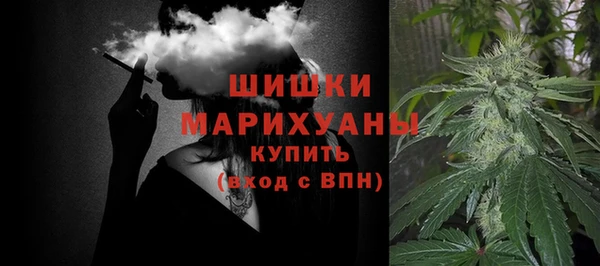 прущий лед Арсеньев