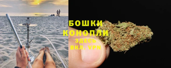 эйфоретик Аркадак