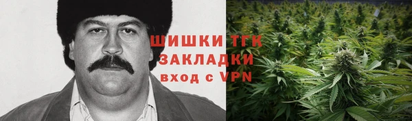 эйфоретик Аркадак