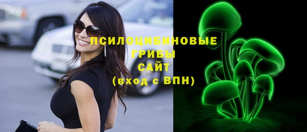 эйфоретик Аркадак