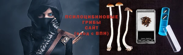 прущий лед Арсеньев