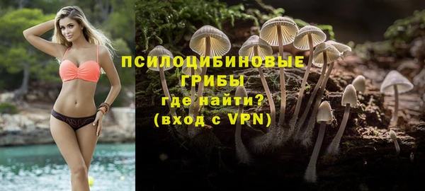 прущий лед Арсеньев