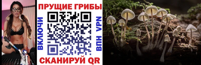 Галлюциногенные грибы мухоморы  Купить закладки  Гусь-Хрустальный 
